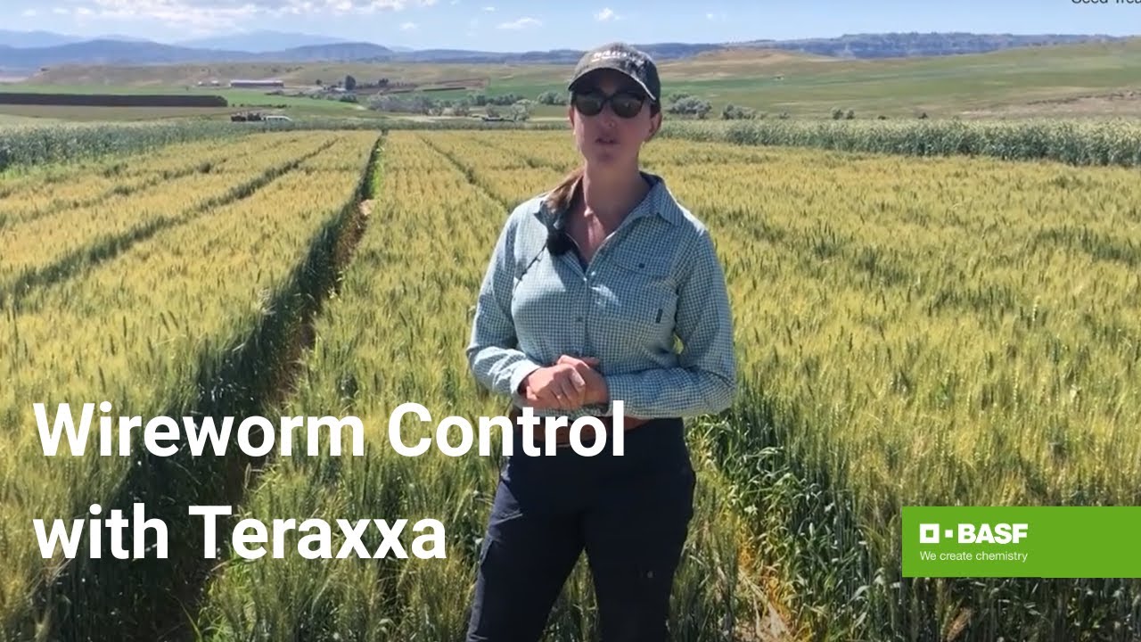 Discover the Power of Reddy Anna ID: Community, Identity, and the Reddy Book Club Experience